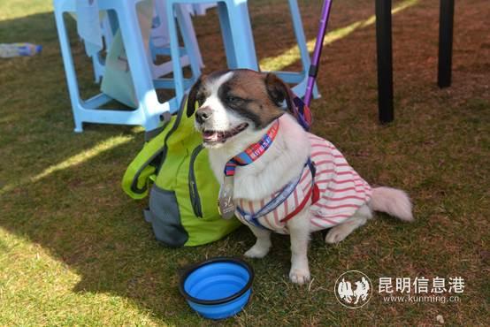 viewfile (5) viewfile (5)