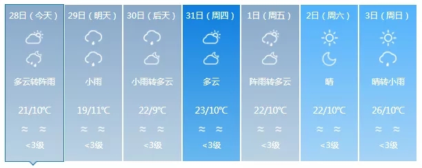 640.webp (12) 640.webp (12)