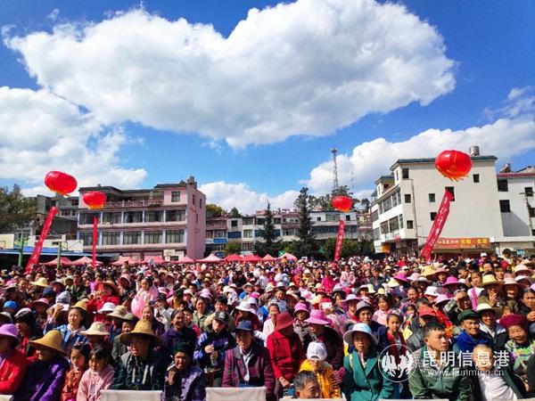 1276902453 1276902453