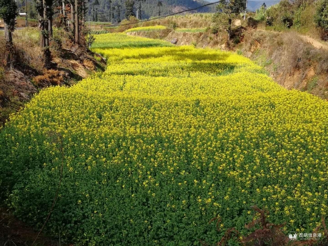 8530fb363dbefaf414d9a2a94d7de8f 8530fb363dbefaf414d9a2a94d7de8f