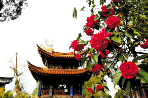 5c513ce1cc6b9 5c513ce1cc6b9