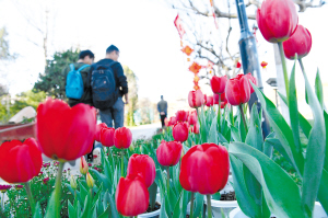 5c513d0ceb316 5c513d0ceb316