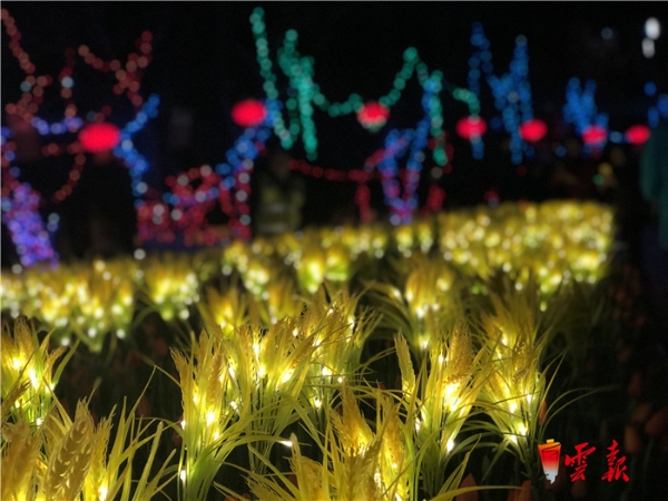 微信圖片_20190131232822 微信圖片_20190131232822