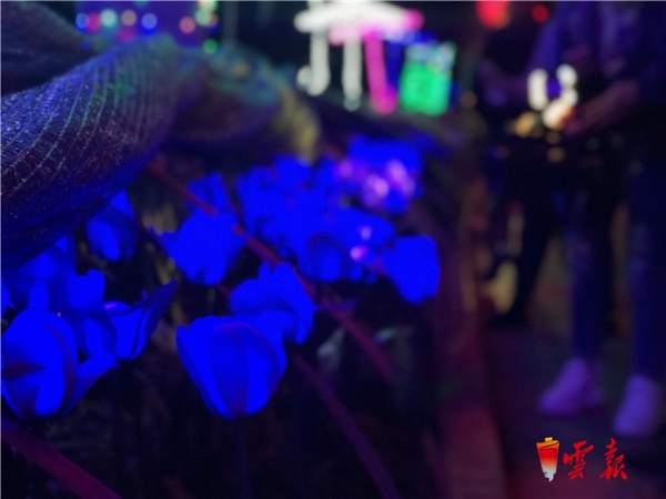 微信圖片_20190131233013 微信圖片_20190131233013