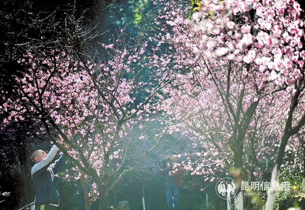 微信圖片_20190131200521