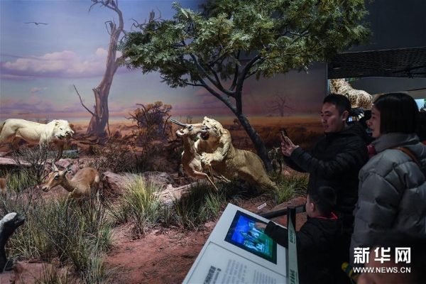 1124073049_15489839178651n11 1124073049_15489839178651n11