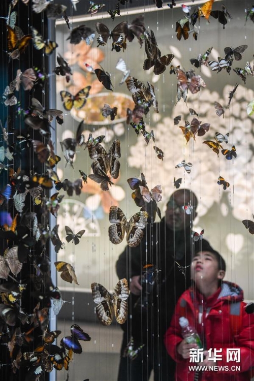 1124073049_15489839179541n13 1124073049_15489839179541n13