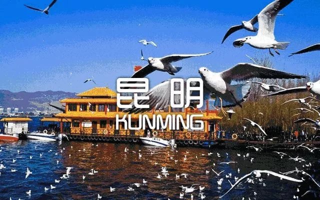 640.webp (3) 640.webp (3)