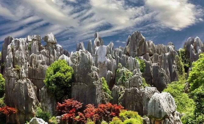 640.webp (5) 640.webp (5)