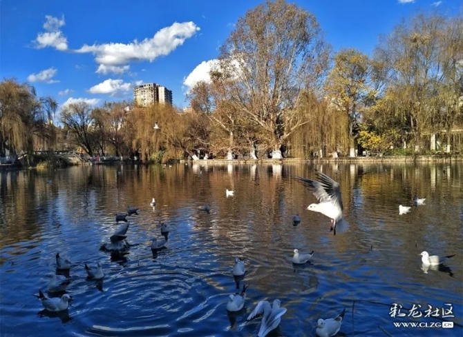 640.webp (7) 640.webp (7)