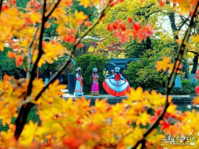 640.webp (11) 640.webp (11)