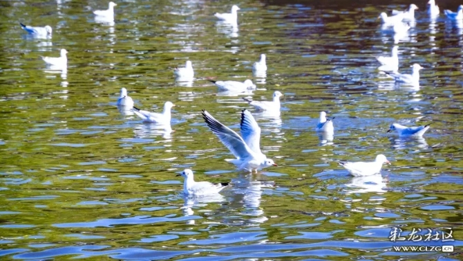 640.webp (12) 640.webp (12)