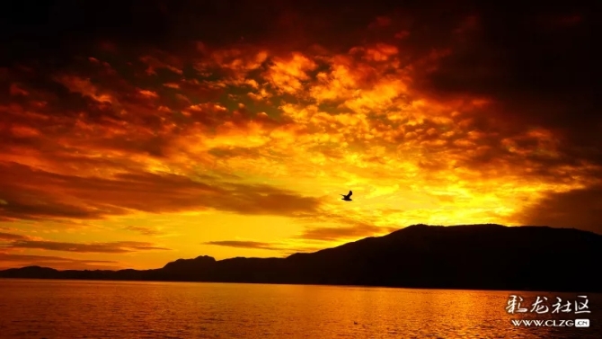 640.webp (14) 640.webp (14)