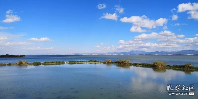 640.webp (17) 640.webp (17)