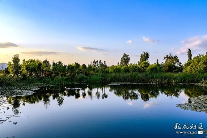 640.webp (19) 640.webp (19)