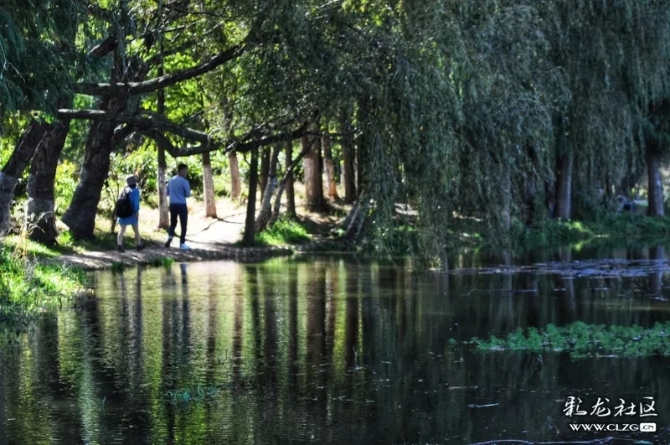 640.webp (20) 640.webp (20)