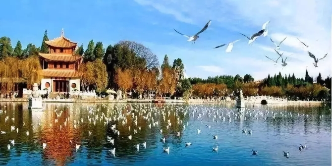 640.webp (29) 640.webp (29)