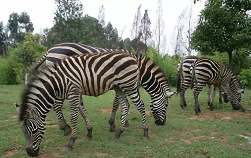 640.webp (38) 640.webp (38)