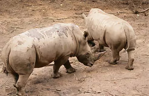 640.webp (39) 640.webp (39)