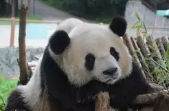 640.webp (40) 640.webp (40)