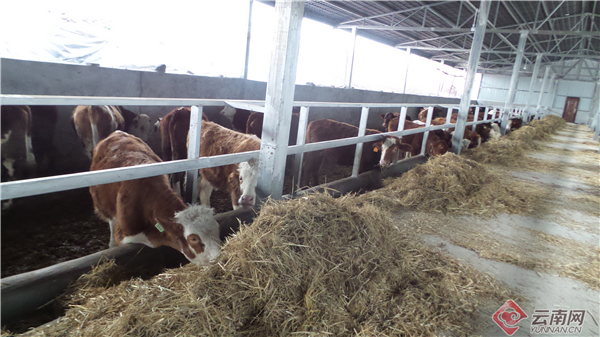 00300370920_31d9a216 00300370920_31d9a216