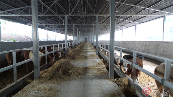 00300370921_12b2157e 00300370921_12b2157e