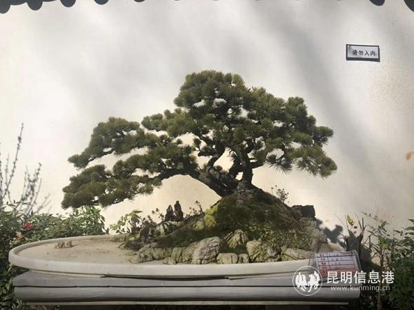 1367793305 1367793305