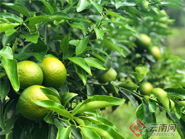 00300374265_2de58a03