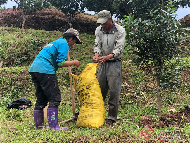 00300374279_a496359b