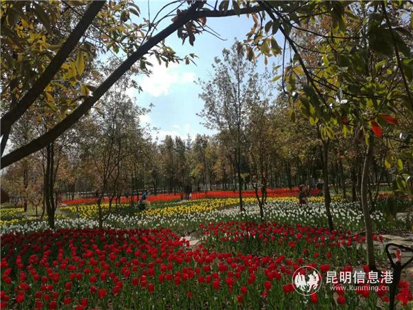 1235066435 1235066435