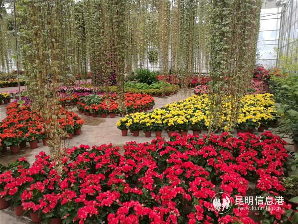 1713311288 1713311288