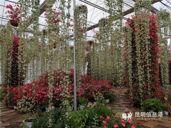 1843662509 1843662509