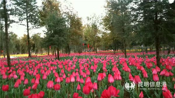 1899500357 1899500357