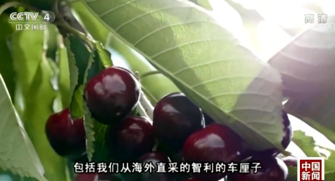 農(nóng)產(chǎn)品