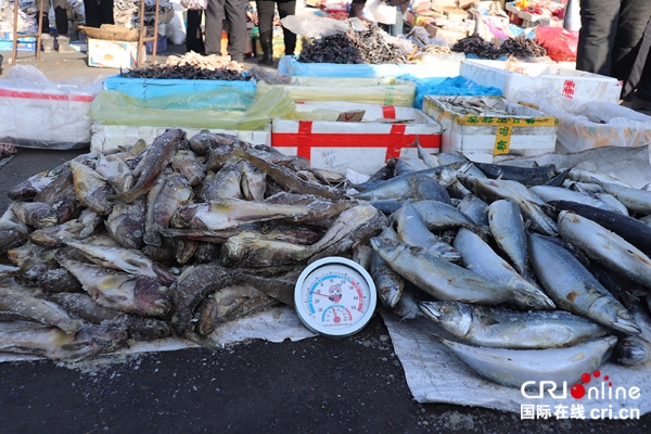 市場上銷售各種凍魚