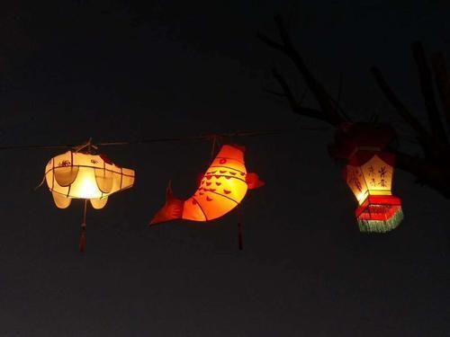 微信圖片_20190203224312 微信圖片_20190203224312