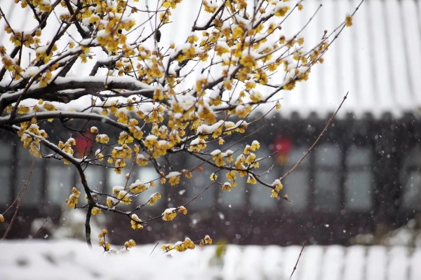 1549207112911_384_1080x720 1549207112911_384_1080x720