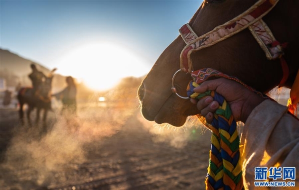 137806067_15495862876721n