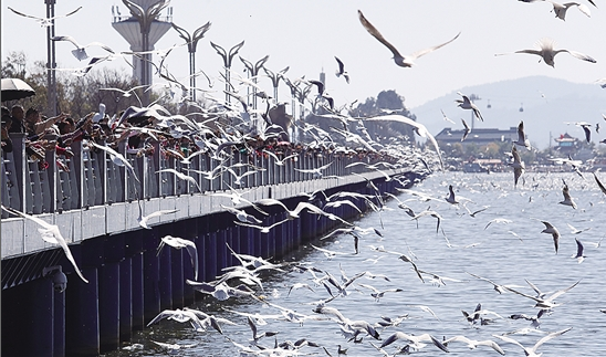 QQ截圖20190211091208 QQ截圖20190211091208