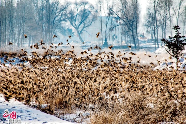 3704aeea-fc0b-4097-a0a5-60e49d52080e_watermark 3704aeea-fc0b-4097-a0a5-60e49d52080e_watermark