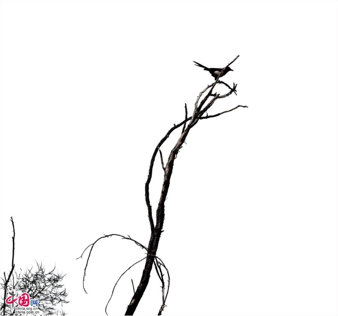 474c8fd6-f606-4ccc-bf89-2cf771177c8c_watermark 474c8fd6-f606-4ccc-bf89-2cf771177c8c_watermark