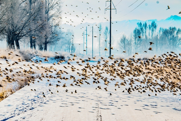 8474f1b6-0493-416d-837a-f1363435ca6c 8474f1b6-0493-416d-837a-f1363435ca6c