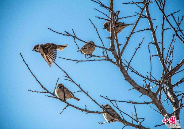 d3d21a44-e3df-4480-a796-7b28f437d2d6_watermark d3d21a44-e3df-4480-a796-7b28f437d2d6_watermark