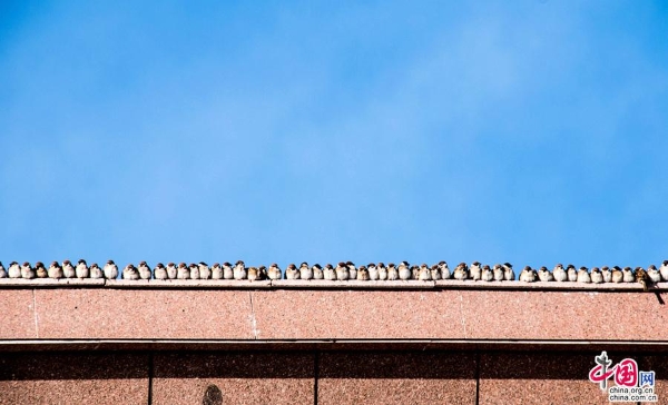 abd834d0-df1d-4ba9-aa8e-747c7f57411b_watermark abd834d0-df1d-4ba9-aa8e-747c7f57411b_watermark