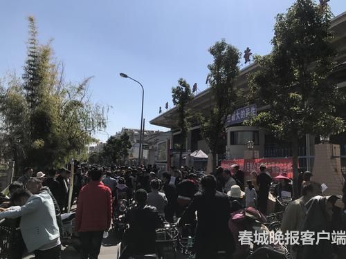 春節(jié)長假收結(jié)招聘求職熱潮拉開大幕6