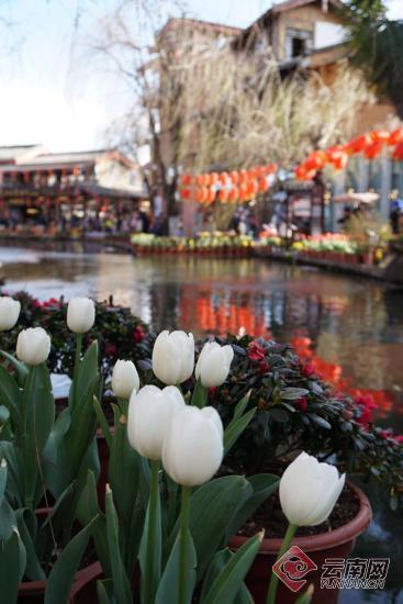 00300389181_06d446c2 00300389181_06d446c2