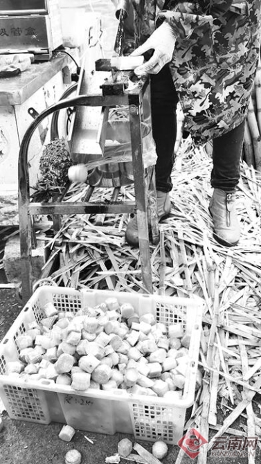 00300392974_6ae172a0 00300392974_6ae172a0