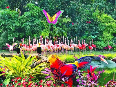 花動(dòng)南國春色——我國南方地區(qū)早春美麗景象掠影