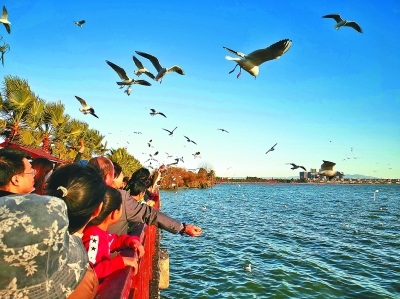 花動(dòng)南國春色——我國南方地區(qū)早春美麗景象掠影