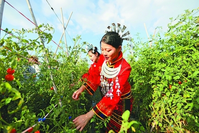 花動(dòng)南國春色——我國南方地區(qū)早春美麗景象掠影